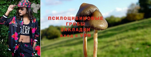 индика Белоозёрский