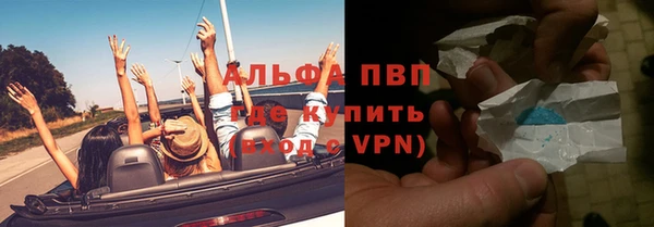 хмурый Белокуриха