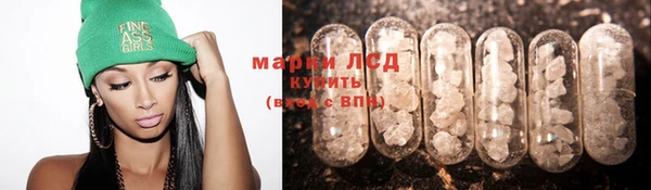 индика Белоозёрский