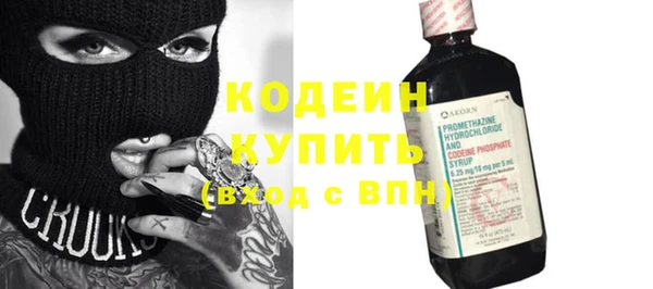 хмурый Белокуриха