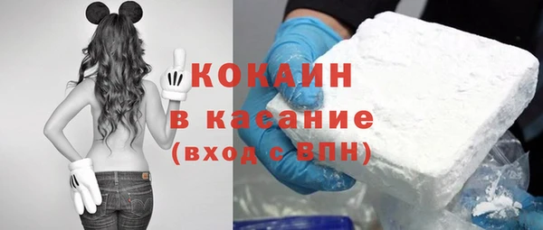 индика Белоозёрский