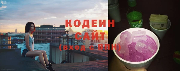 хмурый Белокуриха