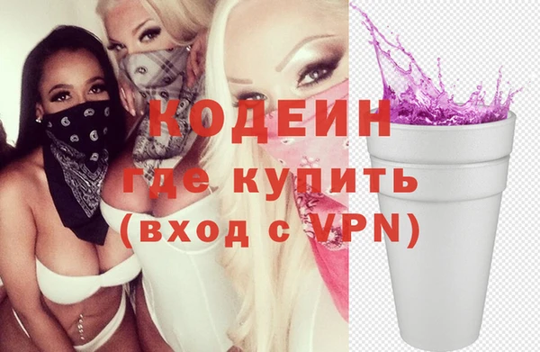 хмурый Белокуриха