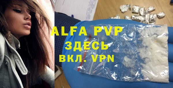 индика Белоозёрский