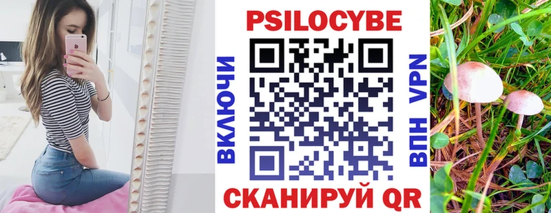 Псилоцибиновые грибы Psilocybe  Пестово 