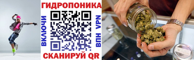 Канабис сатива  Пестово 